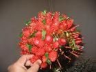 bouquet de fraises